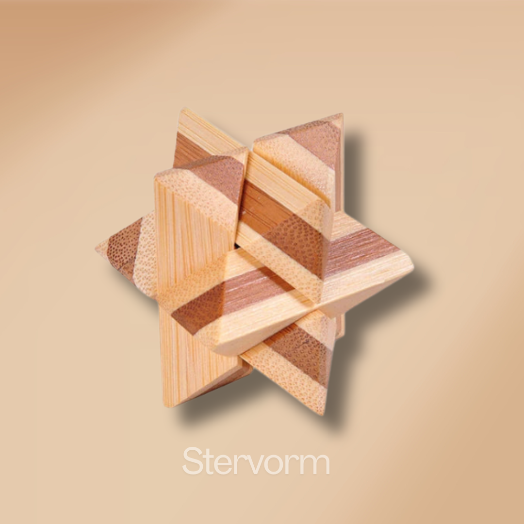 Houten 3D Brain Teasers