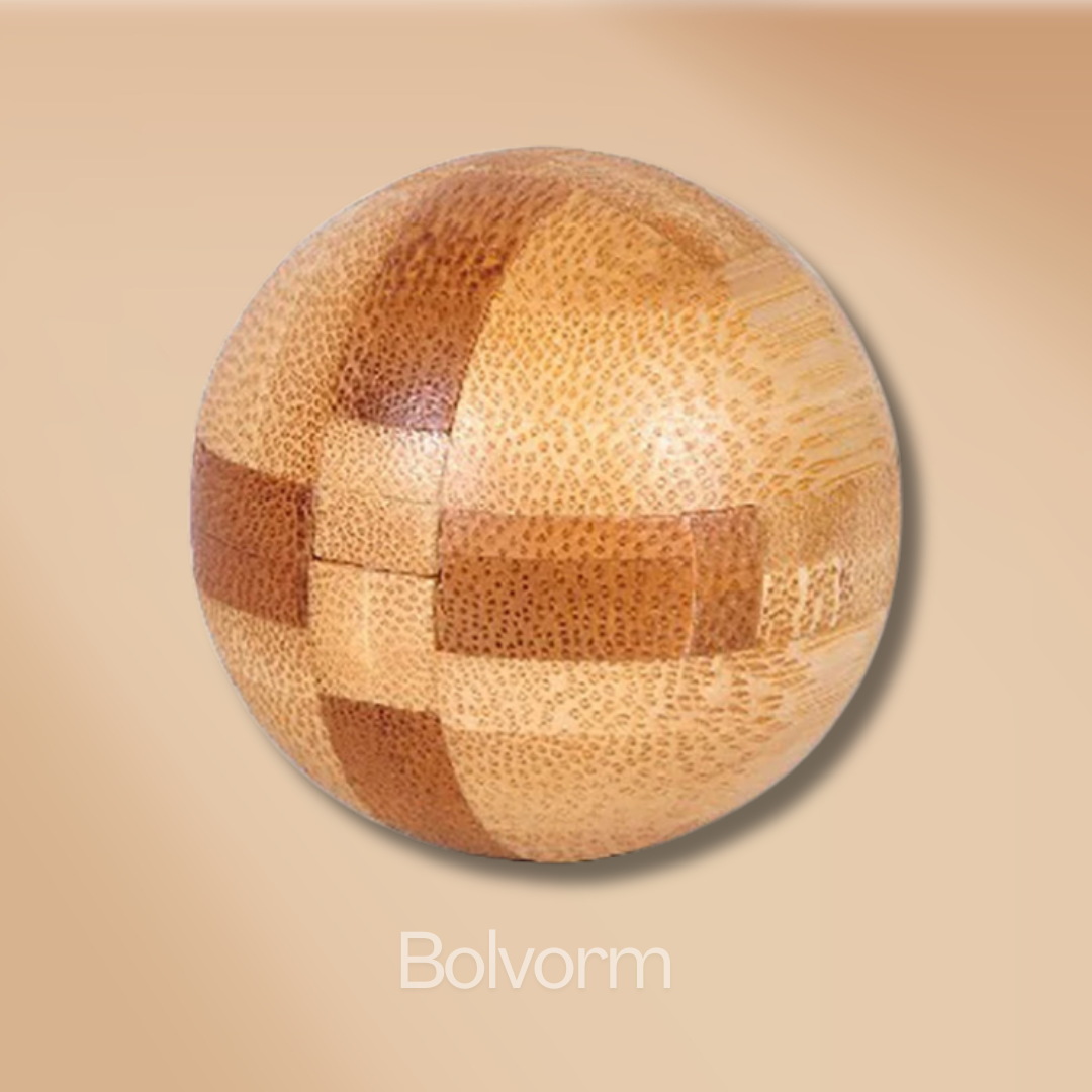 Houten 3D Brain Teasers