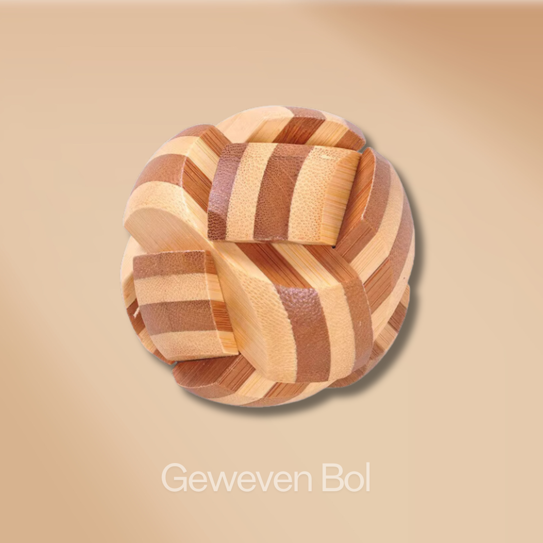 Houten 3D Brain Teasers