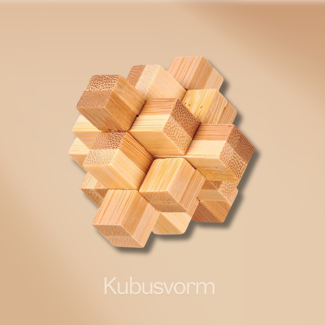 Houten 3D Brain Teasers
