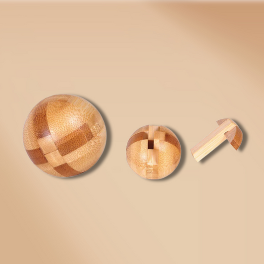 Houten 3D Brain Teasers